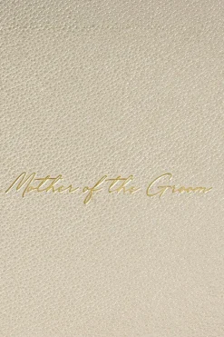 Goldfarbene Pouch